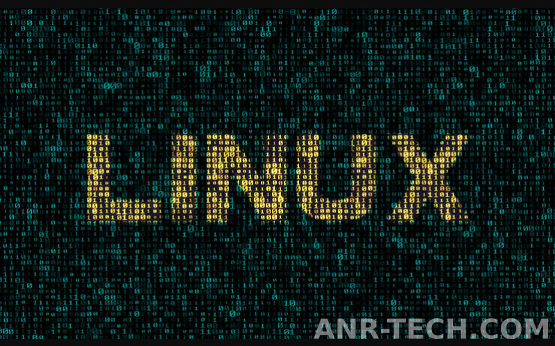 Linux Distribution Terbaik Untuk Programming [2024]
