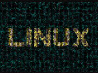 Linux Distribution Terbaik Untuk Programming [2024]
